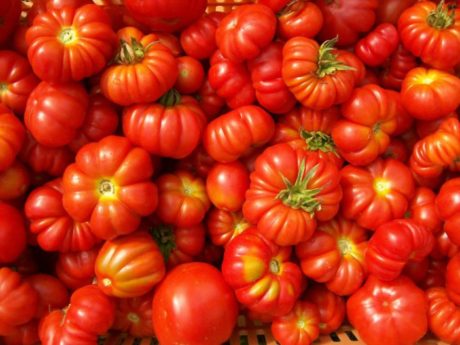 Coldiretti Sardegna. Arriva l’etichetta di origine per i derivati del pomodoro