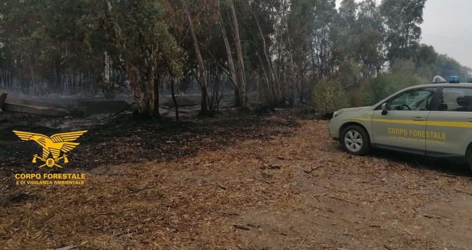 Serramanna, appicca incendio ad un bosco: piromane arrestato in flagranza