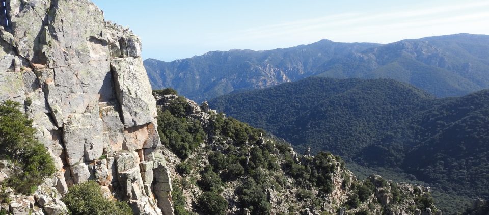 Parchi Naturali regionali, un DDL per armonizzare le procedure nella gestione delle aree protette