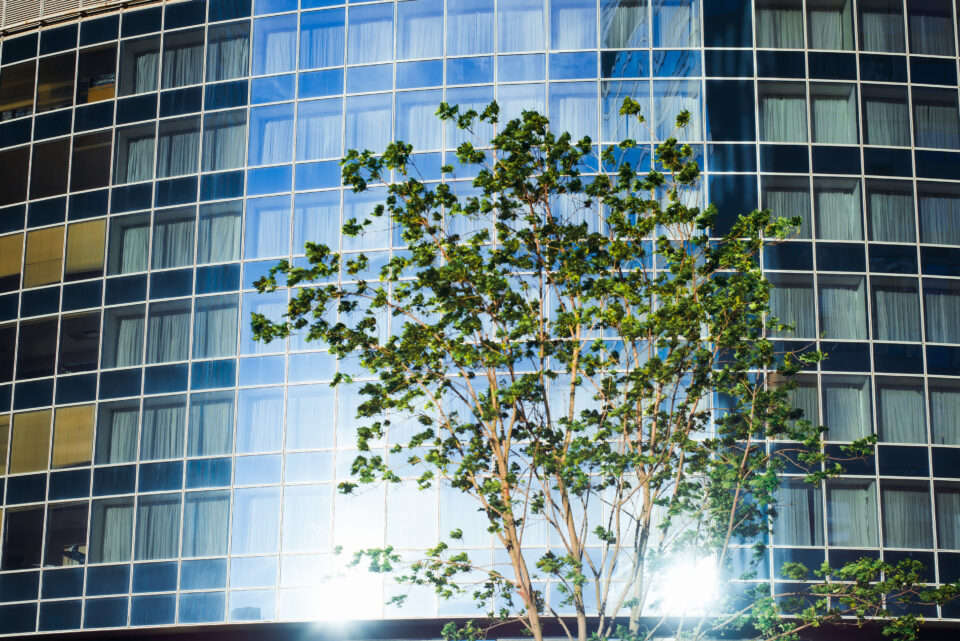 Modern office building exterior. Close-up of a blue glass skyscraper, reflection of the city, a By SergioPhotone - Envato Elements